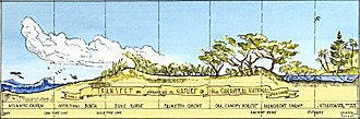 cross-section illustration of natural Transect from Atlantic ocean to beach to dunes to woodlands