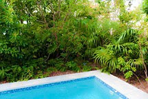 native landscaping and pool of the Chael-Dover Cottage in Miami, Florida