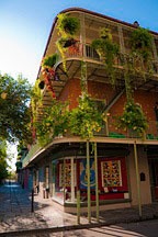 wrought iron galleries filled with plants in the French Quarter, just behind Jackson Square