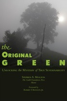 Original Green book cover