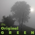 Original Green icon with tree and bush on a foggy morning