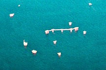 cluster of oil drilling platforms on the Gulf of Mexico