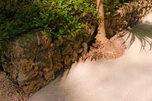 garden wall made of excavated stone at the Chael-Dover Cottage in Miami, Florida