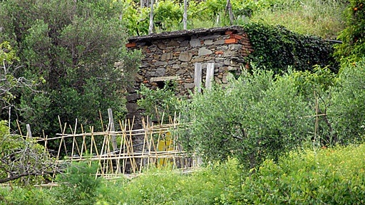 stone shed in gardens near Corniglia, in the Cinque Terre of Italy