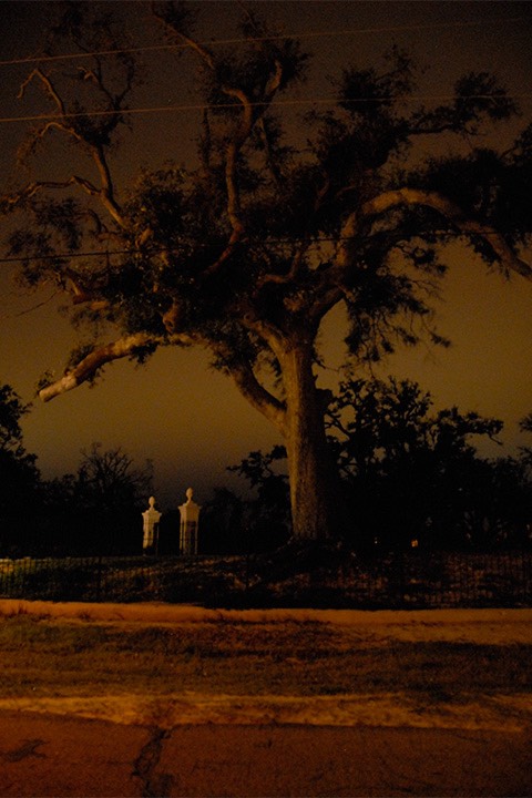 used-Gulf-Coast-07JAN31-4439